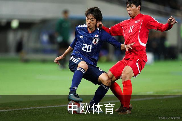 中欧体育公司简介